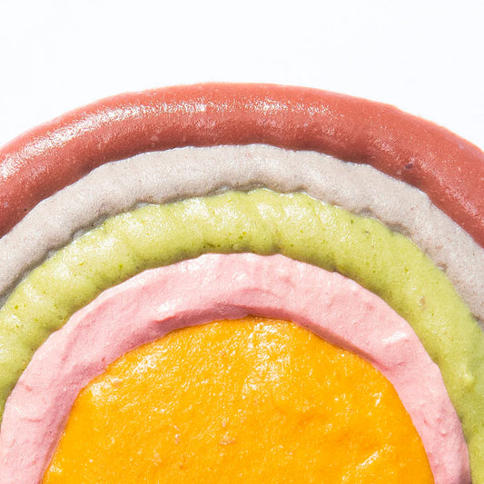 Michu Rainbow Mousse 5 Flavors- Complete Food/Wet Mixer and Topper 10pcs/Pack