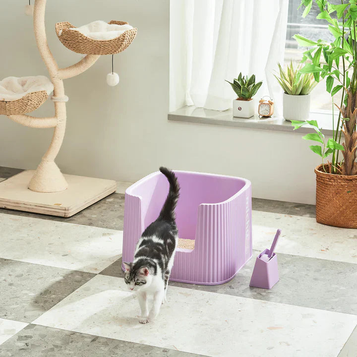 Litter Boxes