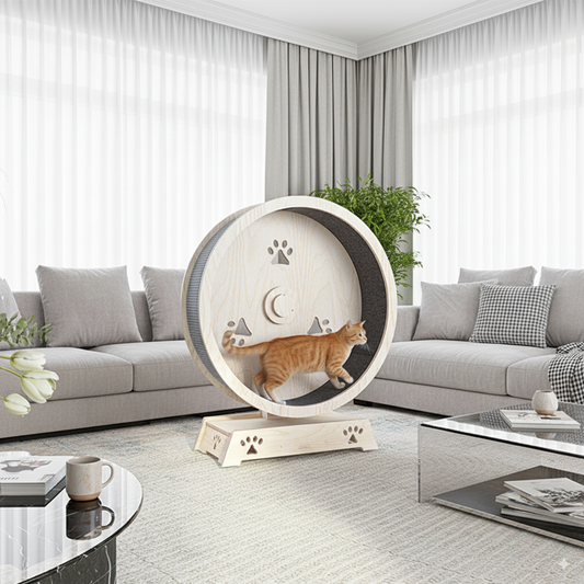 93cm Wooden Cat Exercise Wheel – Interactive Running Wheel for Active Indoor Cats